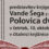 Predstavitev knjige Vande Šega z naslovom Polovica dvojine
